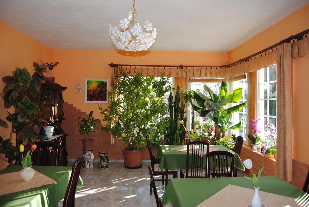 Villa Hedi 杜瑙基利蒂 外观 照片