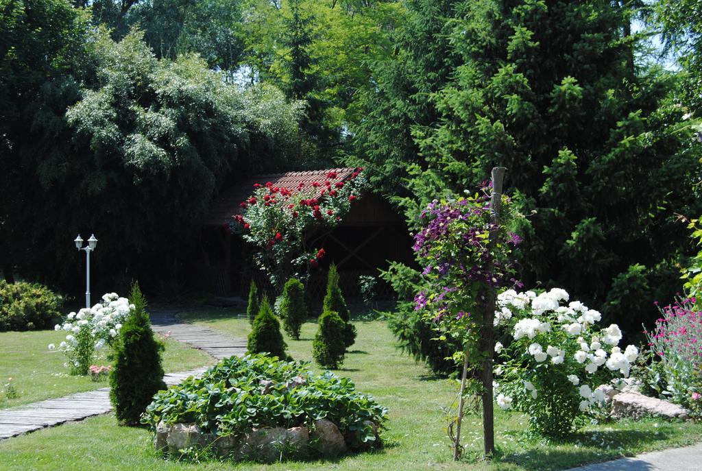 Villa Hedi 杜瑙基利蒂 外观 照片